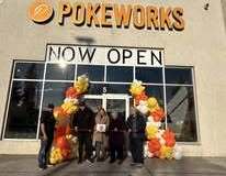POKEWORKS-2